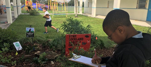 Adapting Together: It’s Time to Take Learning Outside