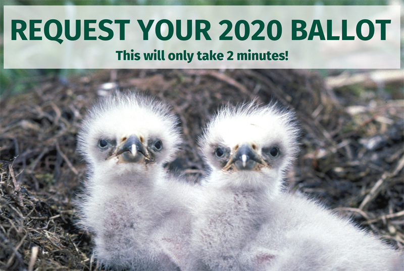 REQUEST YOUR BALLOT - This will only take 2 minutes!