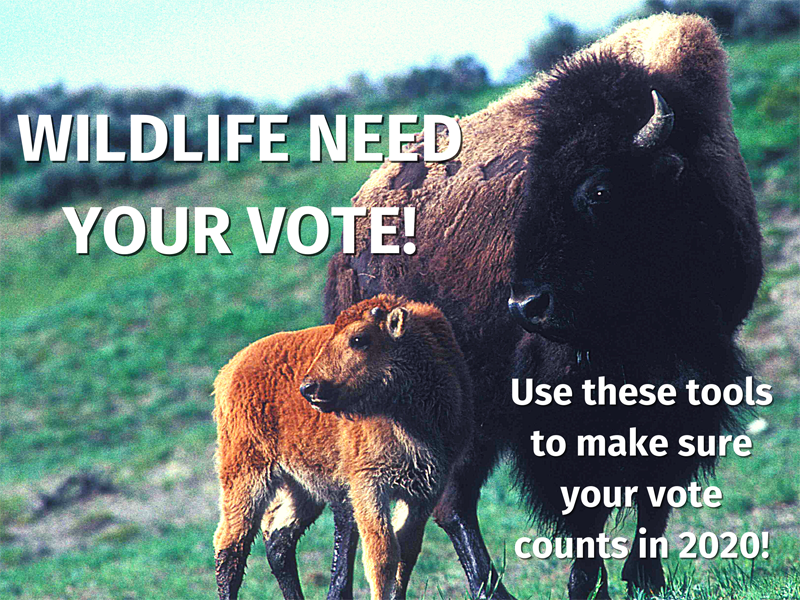 WILDLIFE NEED YOUR VOTE! - USE THESE TOOLS TO MAKE SURE YOUR VOTE COUNTS IN 2020.