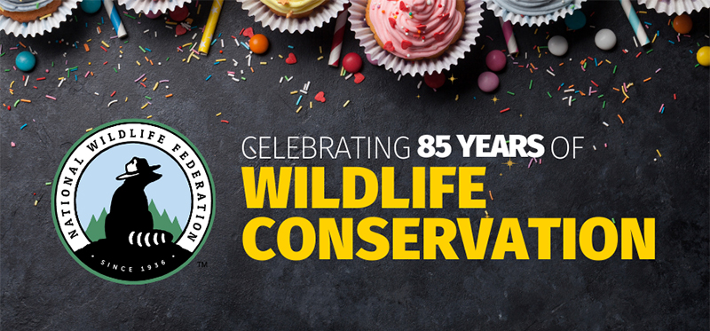 Celebrating 80 Years of Wildlife Conservation