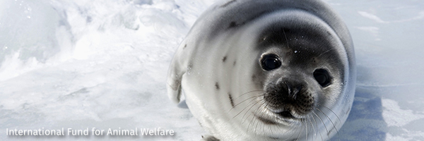 Seal