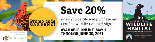 Save 20% when you certify.