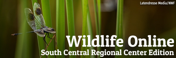 Wildlife Online South Central Regional Center Edition