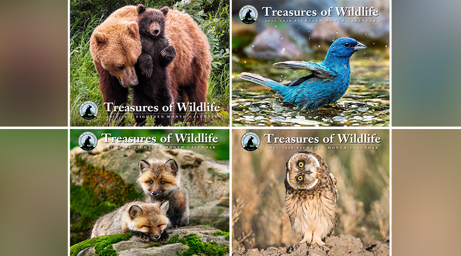 We Have Received Your Vote National Wildlife Federation