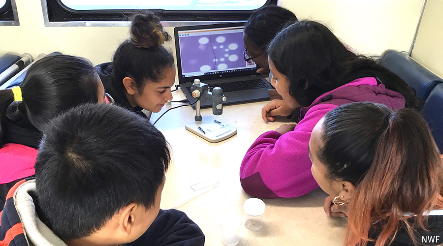 A group of students gather around a microscope to observe aquatic organisms in New York harbor.