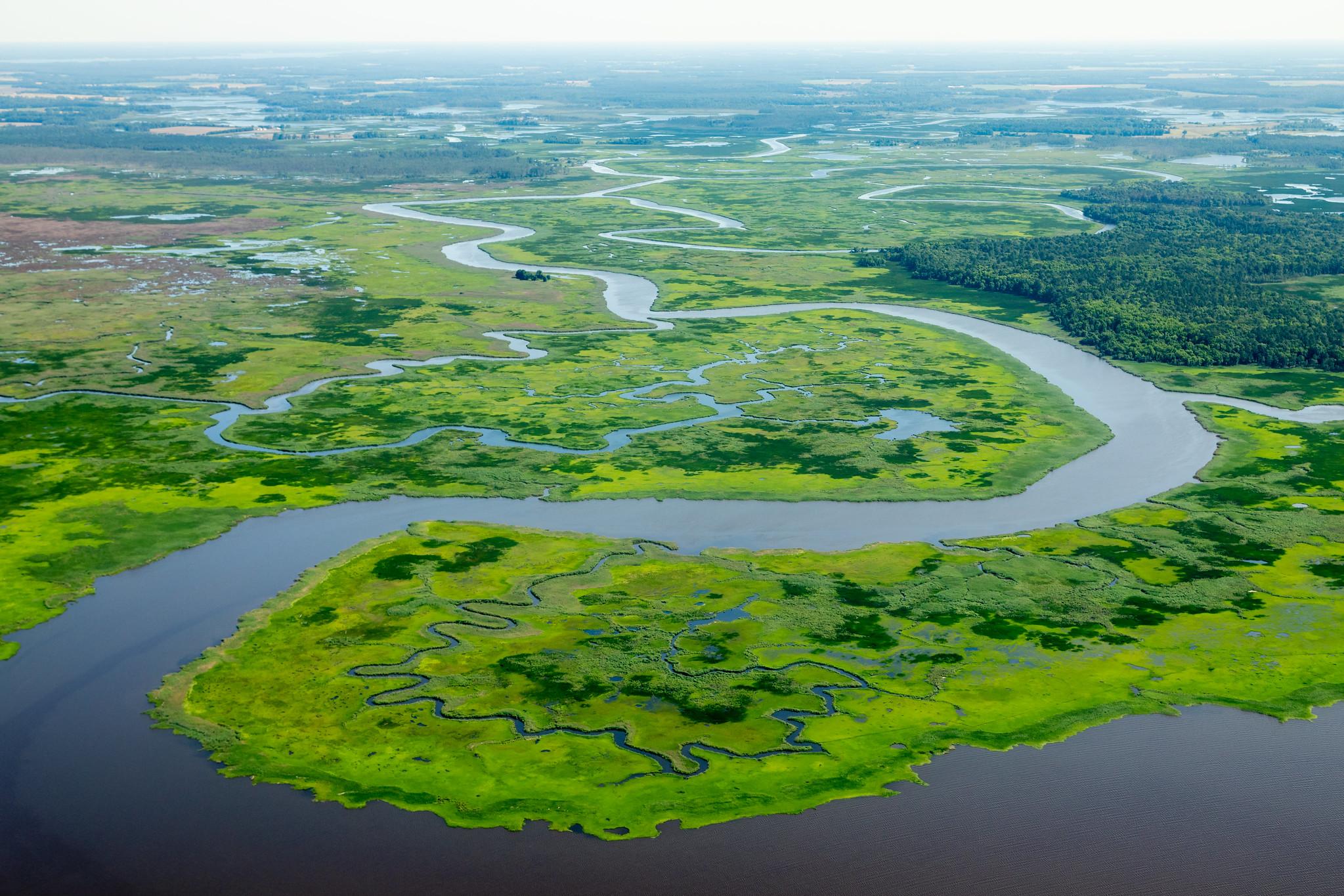 Chesapeake Bay Watershed