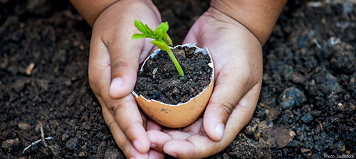 What Time is it? Green Hour™️: Plant May Flowers!