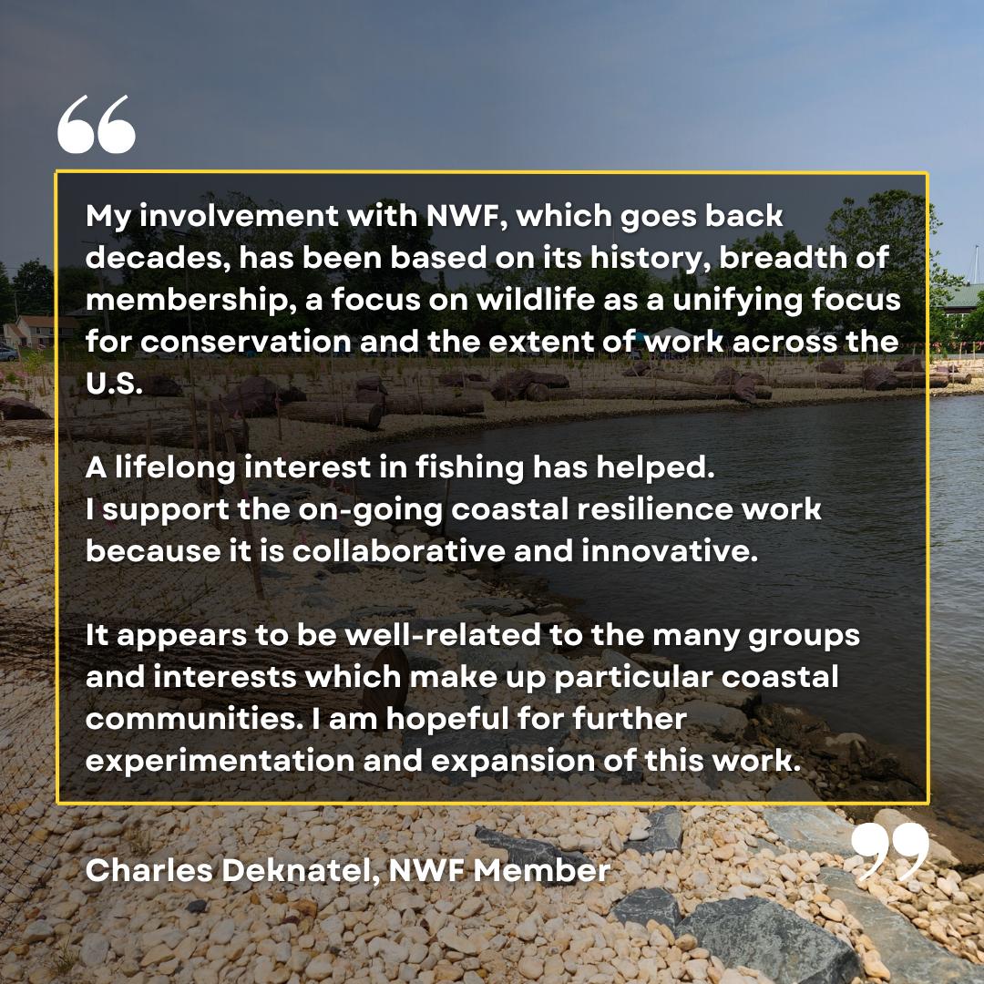 My involvement with NWF, which goes back decades, has been based on its history, breadth of membership, a focus on wildlife as a unifying focus for conservation and the extent of work across the U.S. 

A lifelong interest in fishing has helped. 

I support the on-going coastal resilience work because it is collaborative and innovative. 

It appears to be well-related to the many groups and interests which make up particular coastal communities. I am hopeful for further experimentation and expansion of this work.