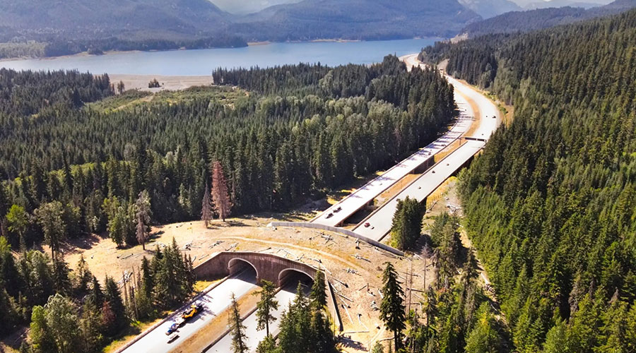 Aerial image of a wildlife crossing