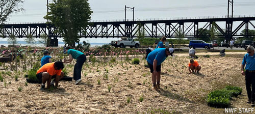 workers restoring land