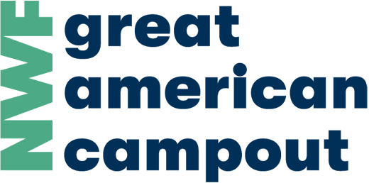 National Wildlife Federation - Great American Campout