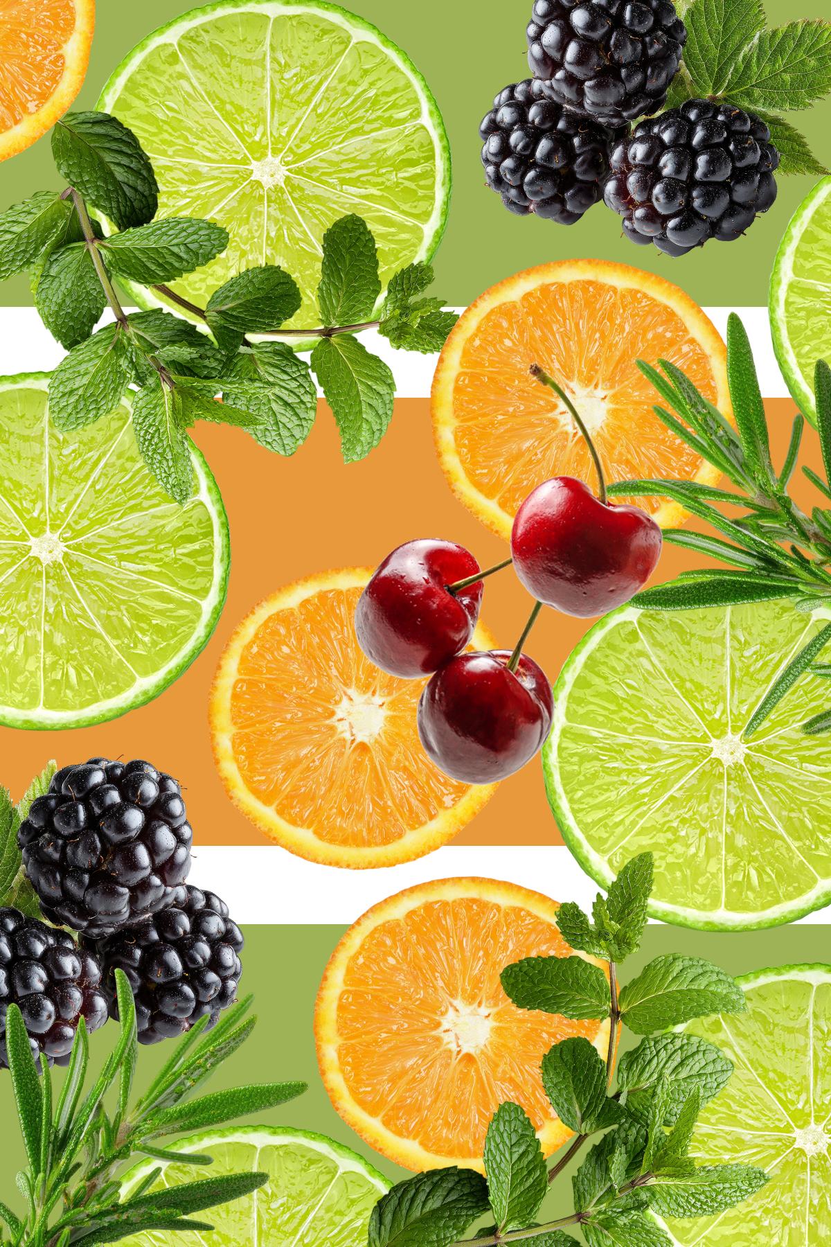 Wildlife Mocktail Guide