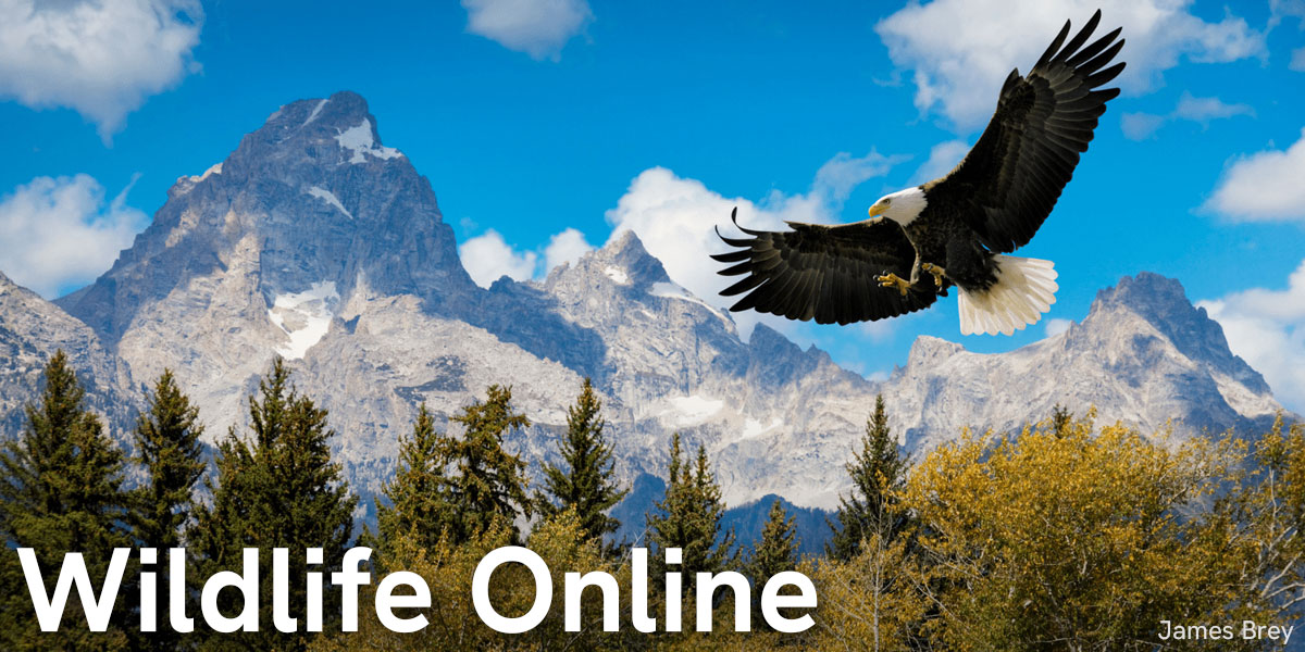 Wildlife Online