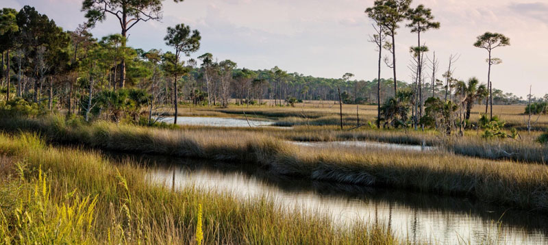 St. Mark's National Wildlife Refuge, Florida