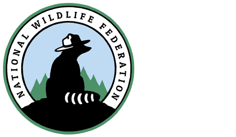 The National Wildlife Federation-EcoLeaders