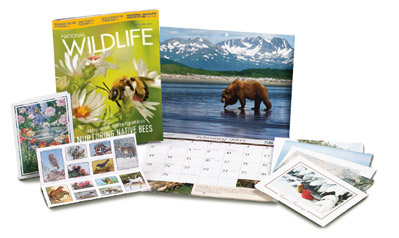 Renew Today To Help Protect Wildlife 2021 National Wildlife Christmas Cards 2021