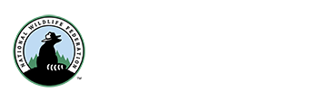 The National Wildlife Federation