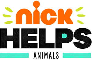 Nick helps animals