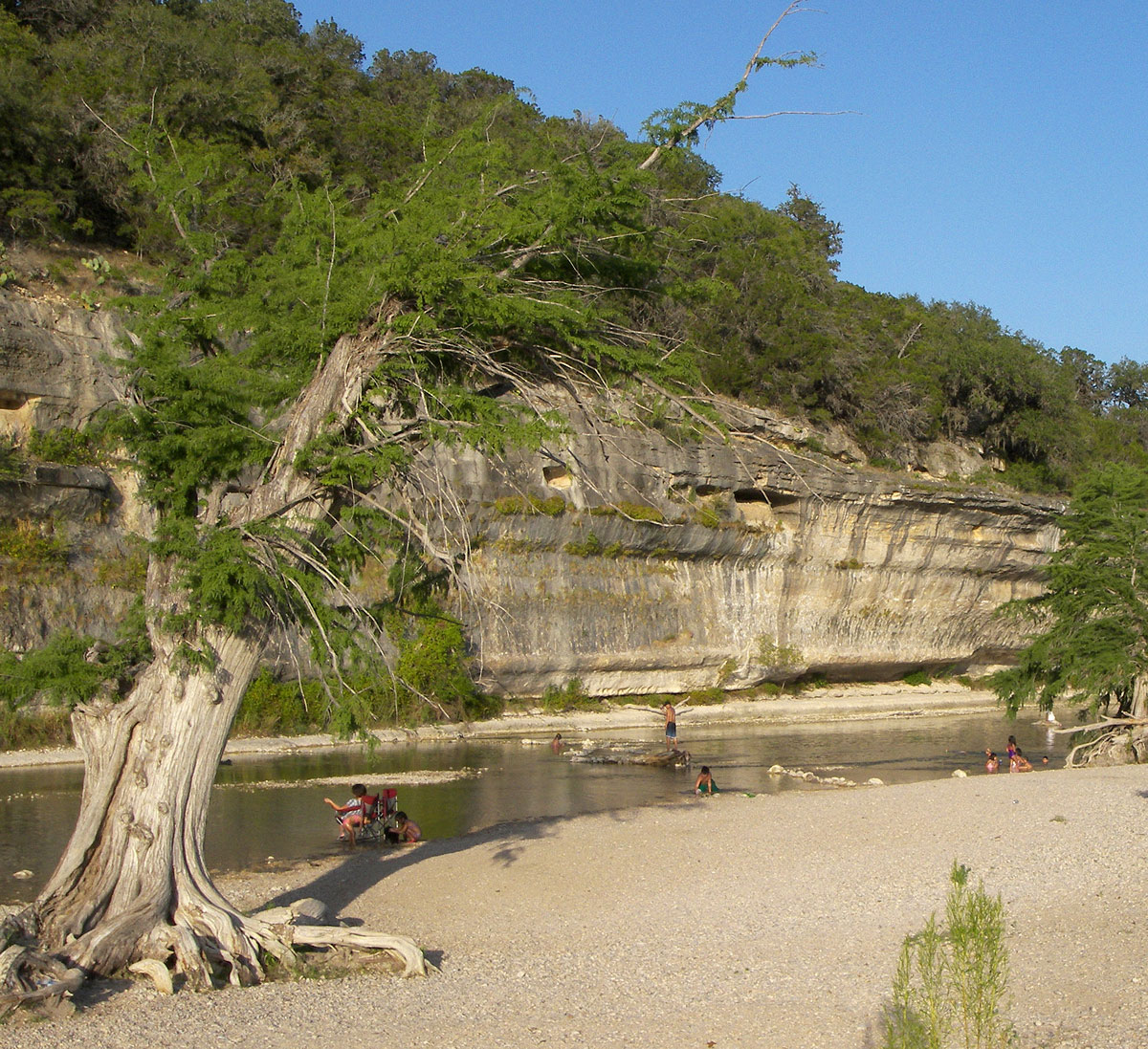 A bluff on the Guadalupe River in Guadalupe River State Park