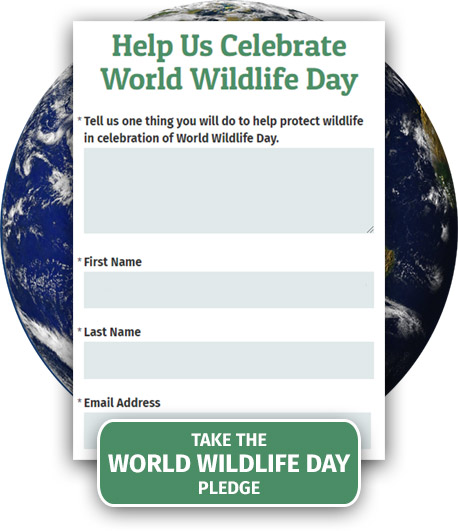 Take the World Wildlife Day Pledge
