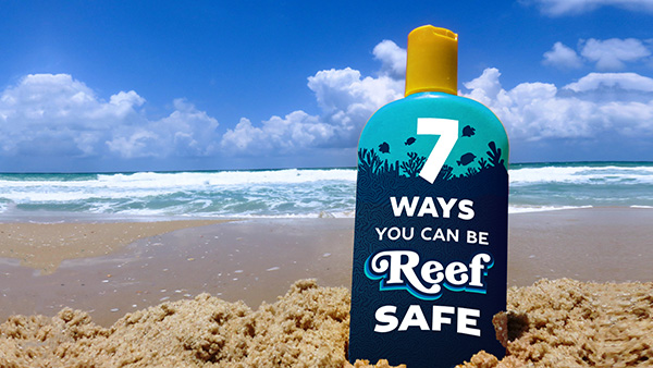 7 ways you can be reef safe