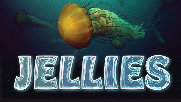 Next on Ocean Encounters: Jellies