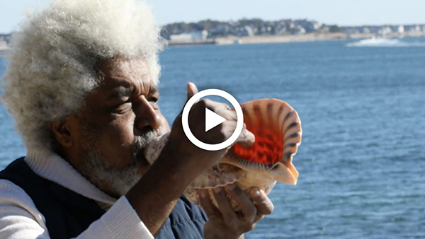 Harold E. Smith performs Good Vibrations by the Sea