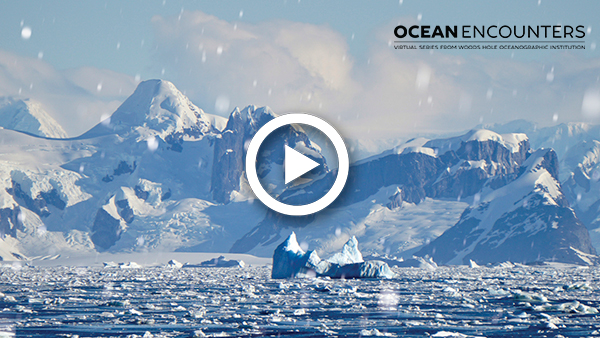 Watch Ocean Encounters: Antarctica!