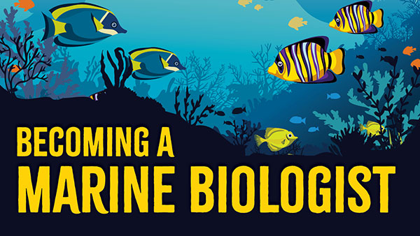 Ocean Encounters: Becoming a marine biologist
