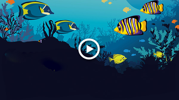 Watch the latest Ocean Encounters: Becoming a marine biologist