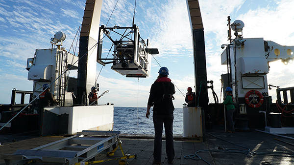 New observation network provides long-term view of the Ocean Twilight Zone