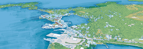 Make Waves: For Climate and our Future