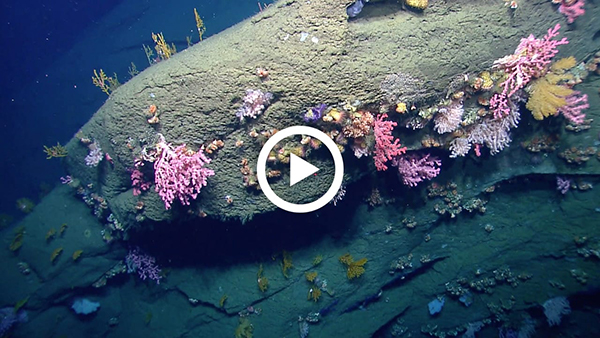 Underwater United States Recording
