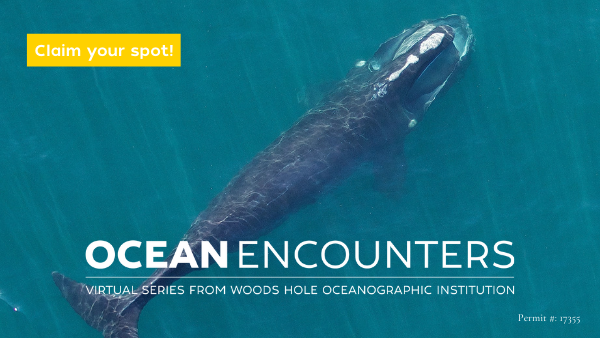 Ocean Encounters: Saving the North Atlantic Right Whale