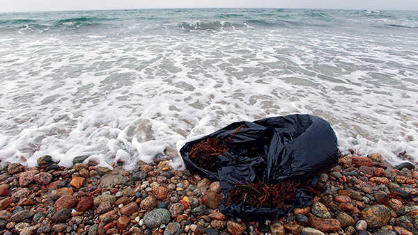 New study takes hard look at marine pollution