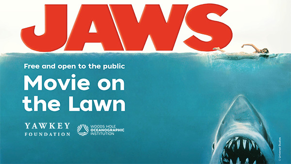 Yawkey x WHOI Event: Jaws on the lawn