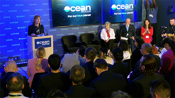 Coalition of philanthropic funders invests $250 million to supercharge ocean-based climate solutions