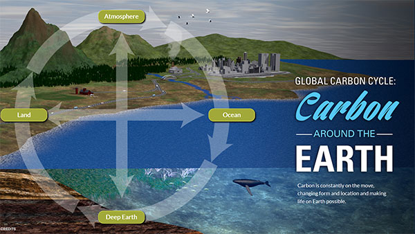carbon cycle interactive