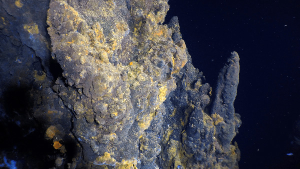 Off-axis high-temperature hydrothermal field discovered at the East Pacific Rise 9°54’N