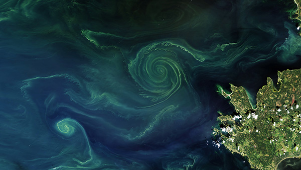 Image of the week: Oxygen factories seen from space