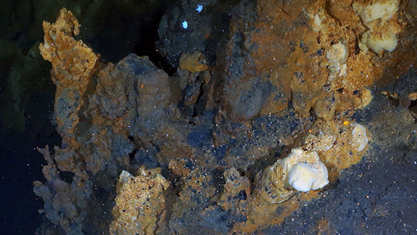Arctic Hydrothermal Vent Site Could Help in Search for Extraterrestrial Life