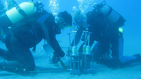 Fluid Flow Stimulates Chemosynthesis in a Greek Salad of Hydrothermal Microbes