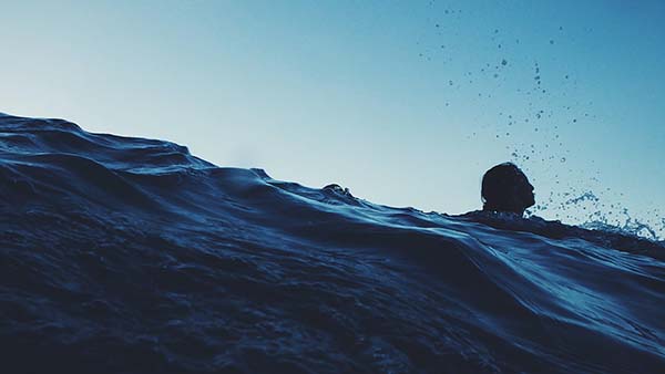 Five times the ocean taught us about the human body