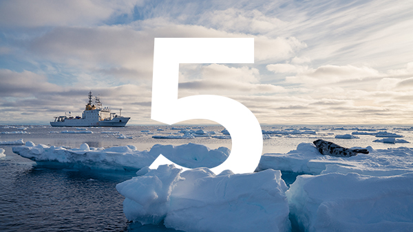 Five stories about ocean science-based solutions in 2021