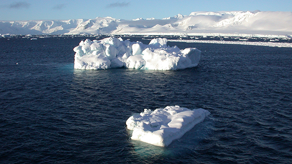 Icebergs drift from Canada to Southern Florida