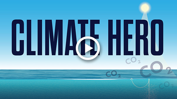 Watch Climate Hero: The ocean's super-powered carbon pump
