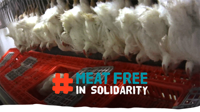 Meat-Free in Solidarity