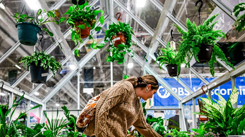 Atendee browsing at garden expo.