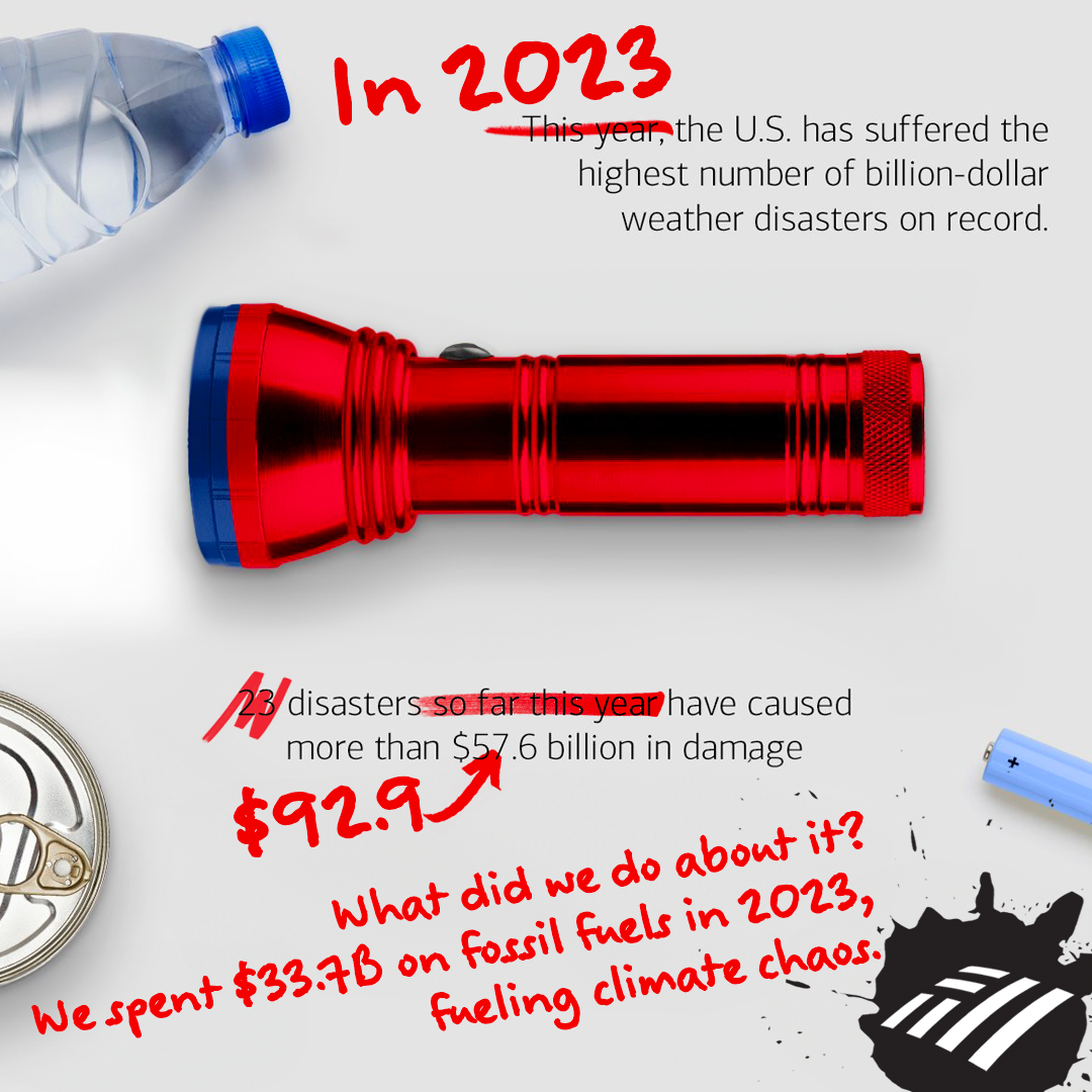 Baby orangutan looking at you.