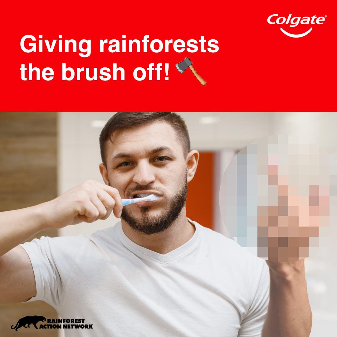 People Using Colgate Colgate: Brushing Away Forests | Rainforest Action Network - Fighting ...